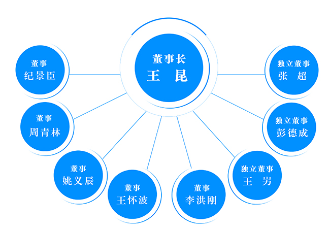 1668667156805041.jpg 公司董事結(jié)構(gòu)1.jpg